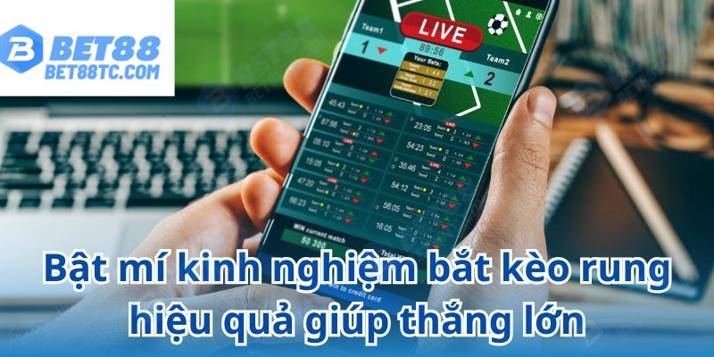 Cẩm nang chơi kèo rung thắng lớn mà không phải ai cũng biết