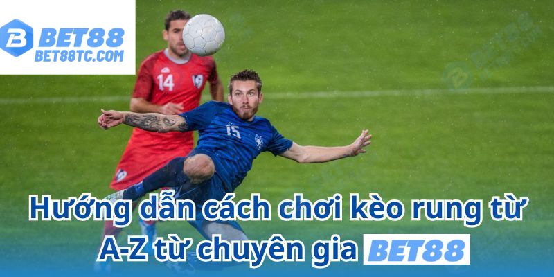Hướng dẫn cách đọc kèo rung cực chuẩn từ chuyên gia