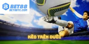 kèo trên dưới ảnh đại diện bet88