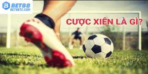 kèo xiên là gì avatar bet88