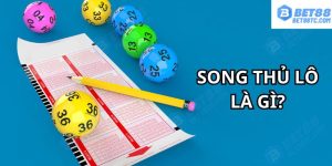 song thủ lô là gì ảnh đại diện