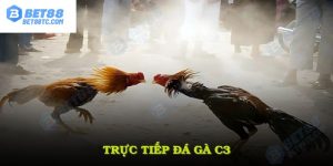 ảnh bìa trực tiếp đá gà c3